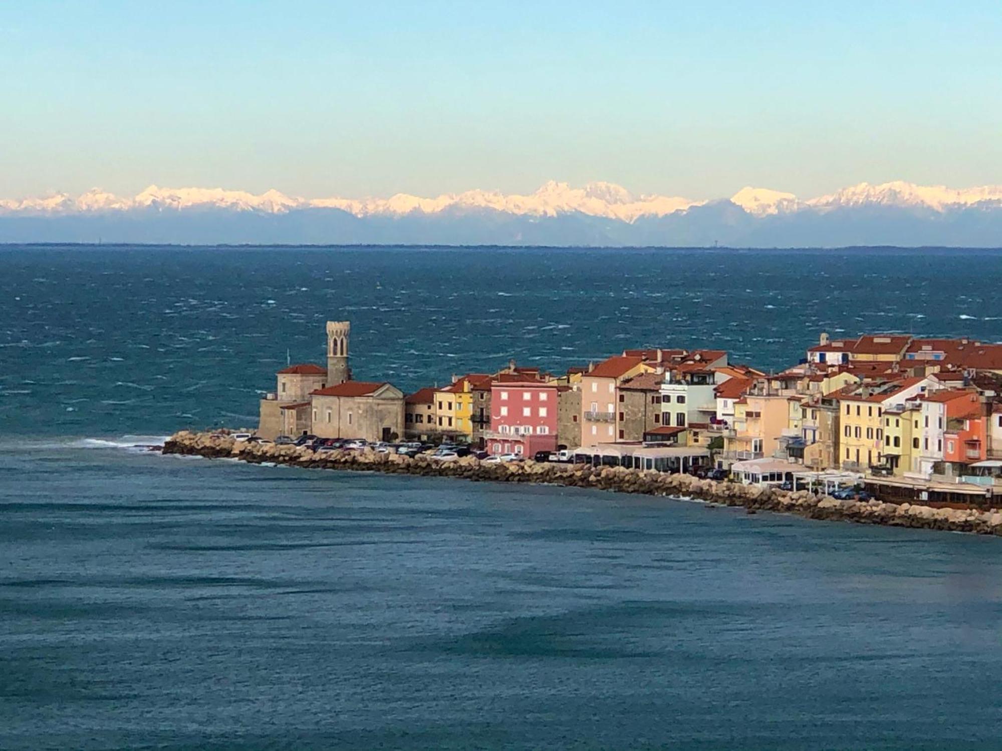 Apartment Modrin Piran Extérieur photo